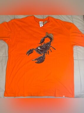 NIKE ACG Oc Scorpion tee NWT size L